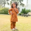 Embroidery Brown Frock With Shalwar